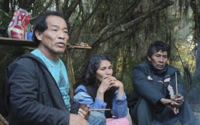 CIMI: Sob pressão, comunidade Mbya Guarani da Ponta do Arado afirma sentir-se ameaçada pelo empreendimento imobiliário Arado Velho