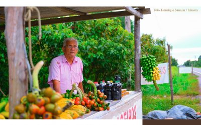 IEB: 16a edição do Observatório da BR-319, vem saber mais!