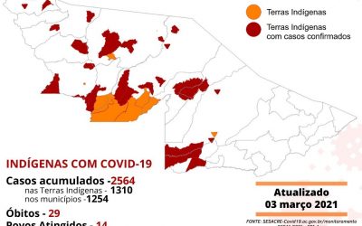 CPI- ACRE: Monitoramento da COVID-19 entre indígenas no Acre