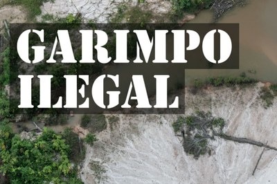 MPF: MPF apura improbidade pelo descaso e omissão de autoridades contra invasão garimpeira em área indígena no Pará