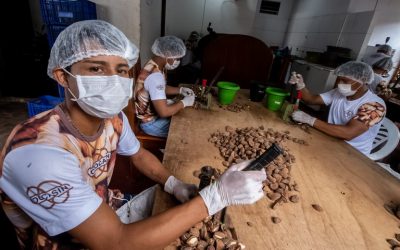 FUNAI: Incentivo à autonomia dos povos indígenas marca atuação da Funai nos 800 dias de Governo