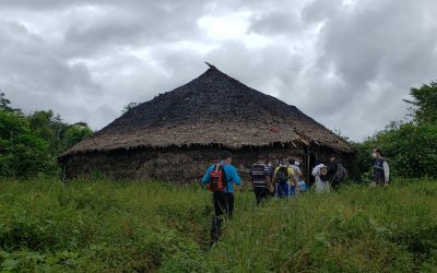 MINISTÉRIO DA SAÚDE: CAMINHOS DA VACINA: profissionais de saúde adentram florestas para imunizar população indígena