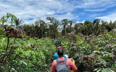 BRASIL DE FATO: Xingu: Enquanto 320 doses vão para o lixo, governo negou vacina a indígenas na cidade