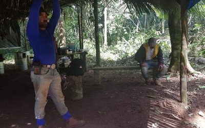 BRASIL DE FATO: Indígenas impedem invasão de grileiros na Terra Indígena Uru-Eu-Wau-Wau na Amazônia