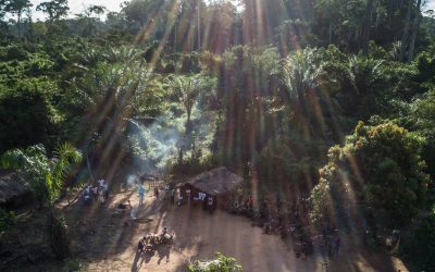 ONU: Proteger los bosques es proteger el sustento de millones de personas y salvar al planeta