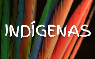 MPF: MPF vai à Justiça para que indígenas desaldeados sejam incluídos na prioridade das vacinas contra covid-19