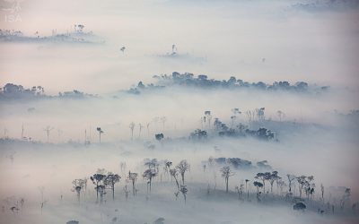 ISA: Mudanças em comissões da Câmara ameaçam meio ambiente