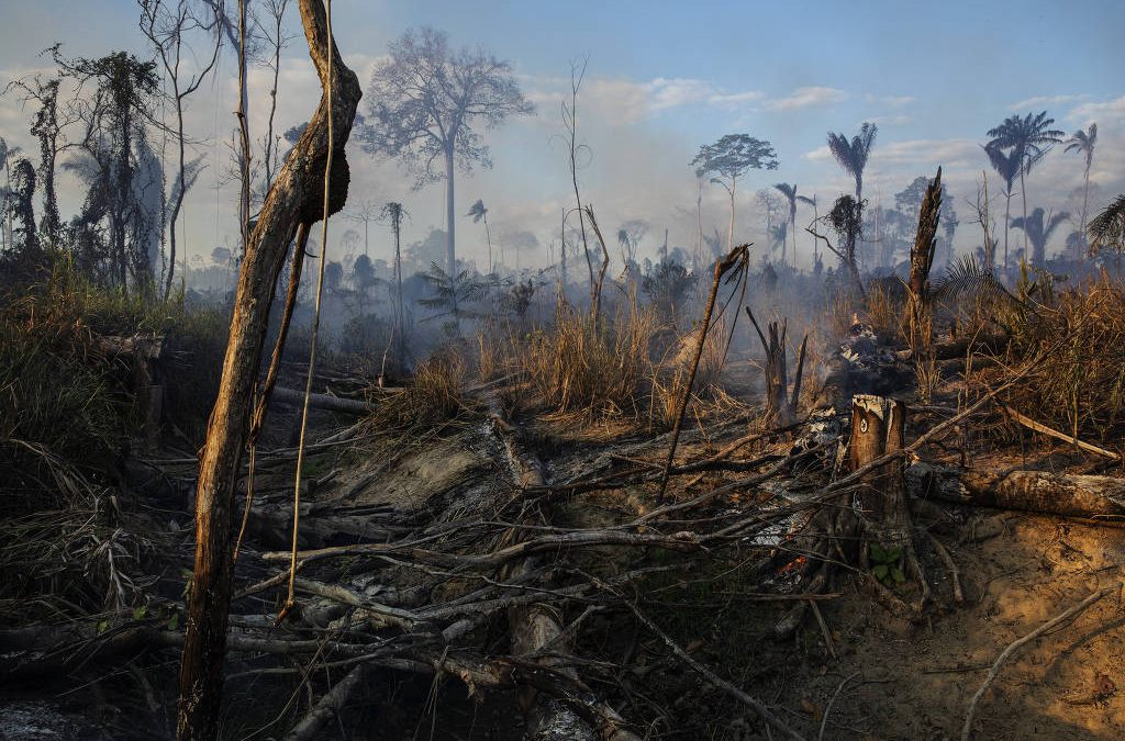 FOLHA DE S. PAULO: Desmatamento pode cortar Xingu em dois, aponta relatório de ONG