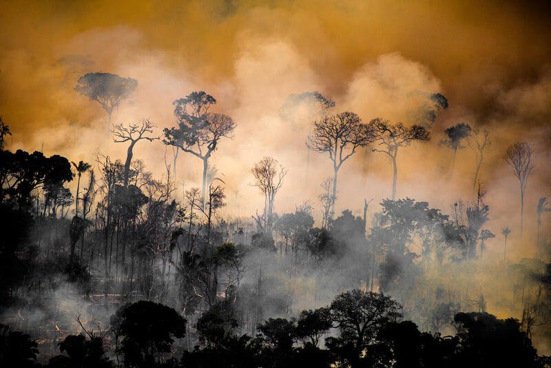 GREENPEACE: Um cheque em branco para os inimigos do meio ambiente no Brasil