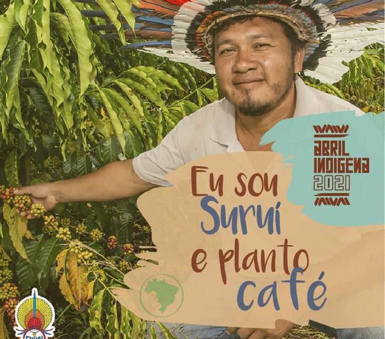 FUNAI: Abril Indígena: Com apoio da Funai, povo Paiter Suruí consolida cultivo de café especial
