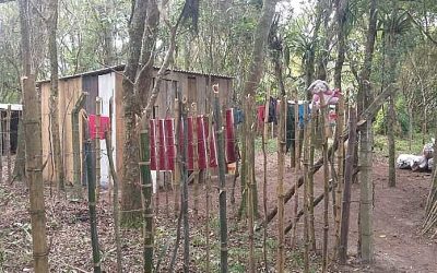 BRASIL DE FATO: Indígenas Mbyá-Guarani de Porto Alegre são ameaçados por loteamento ilegal