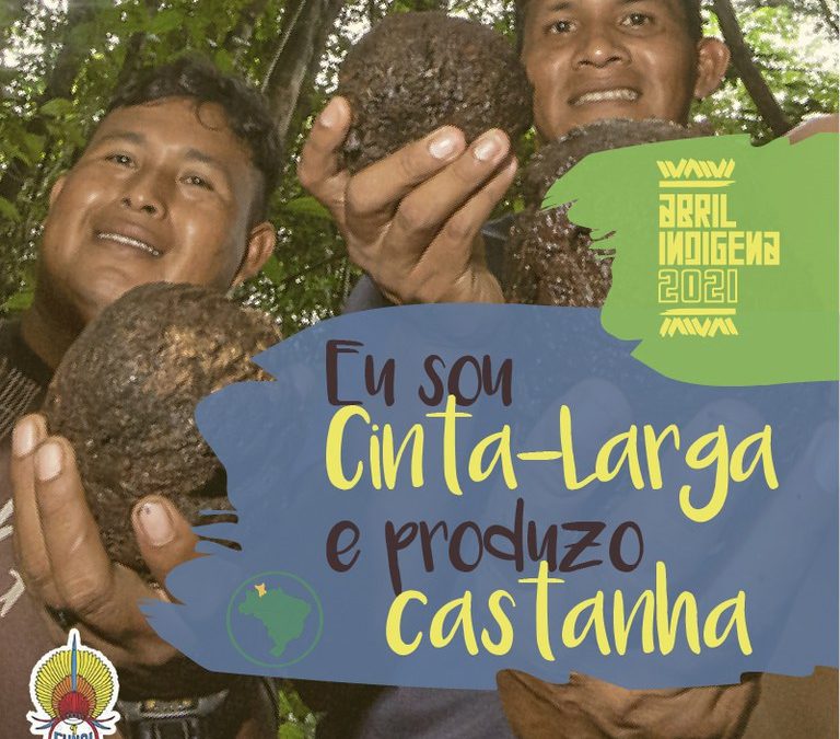 FUNAI: Abril Indígena: Povo Cinta Larga concilia produção de castanha e proteção da floresta