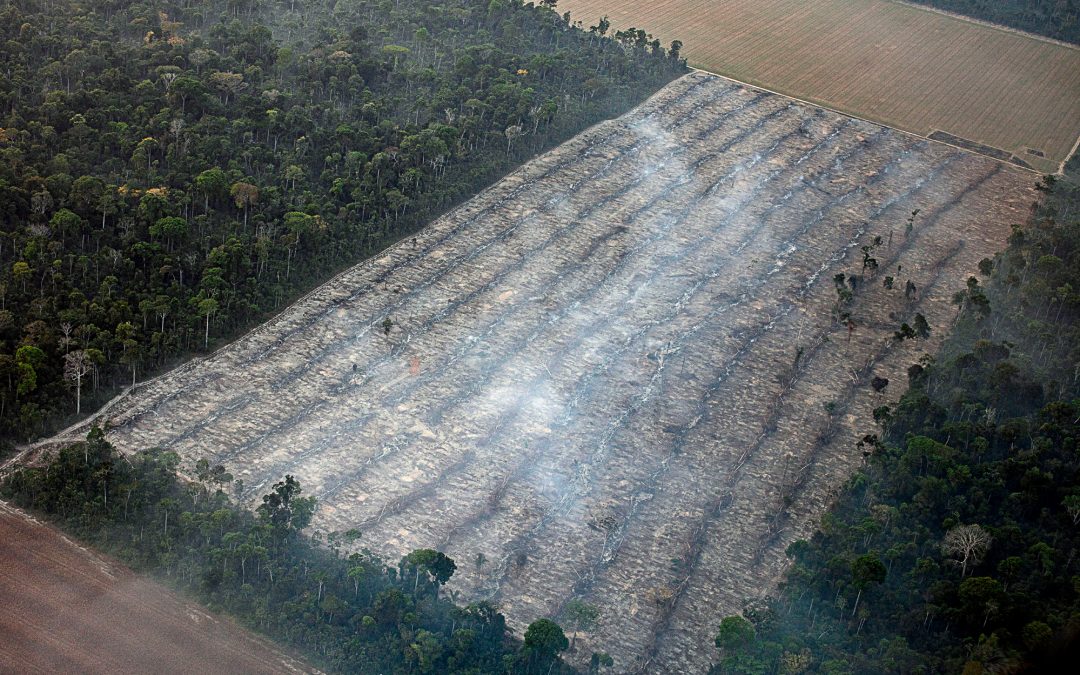 AMAZÔNIA REAL: O Desmatamento da Amazônia Brasileira: 20 – Áreas Protegidas