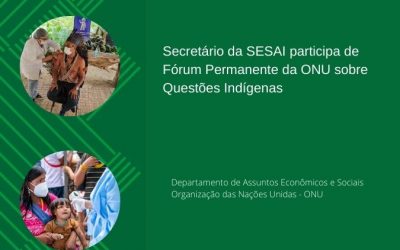 MINISTÉRIO DA SAÚDE: Secretário da SESAI participa de Fórum Permanente da ONU sobre Questões Indígenas
