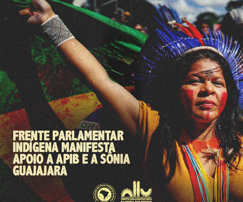 APIB: Frente Parlamentar Indígena manifesta apoio a Apib e a Sônia Guajajara