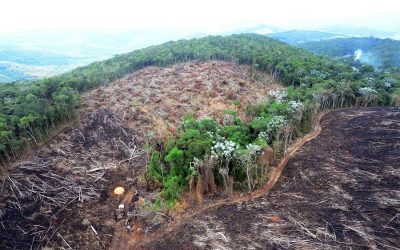 COMIN: Organizações e movimentos sociais denunciam aprovação de redução de áreas protegidas em Rondônia