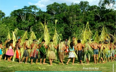 CPI- ACRE: PAPO DE ÍNDIO: Lei Aldir Blanc e os Povos Indígenas no Acre