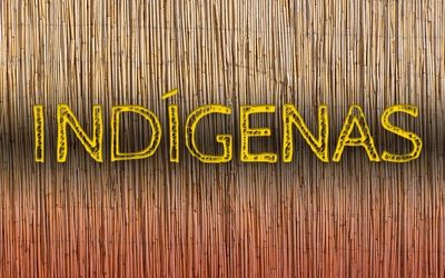 MPF: MPF expede recomendação para garantir que indígenas não aldeados sejam incluídos no grupo prioritário de vacinação