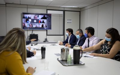 MINISTÉRIO DA SAÚDE: SESAI, DSEIs e CASAIs realizam reunião de acompanhamento