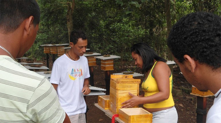 FUNAI: Cooperativa indígena do Espírito Santo alcança maior produção de mel desde sua fundação