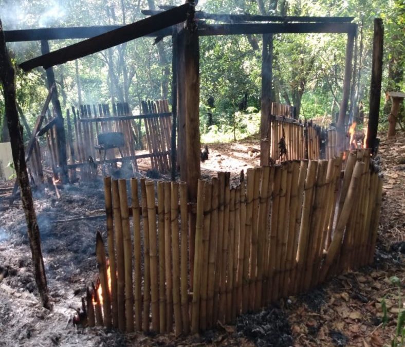 CIMI: Incêndio criminoso destrói construções tradicionais na Aldeia Multiétnica Filhos da Terra, em Guarulhos (SP)