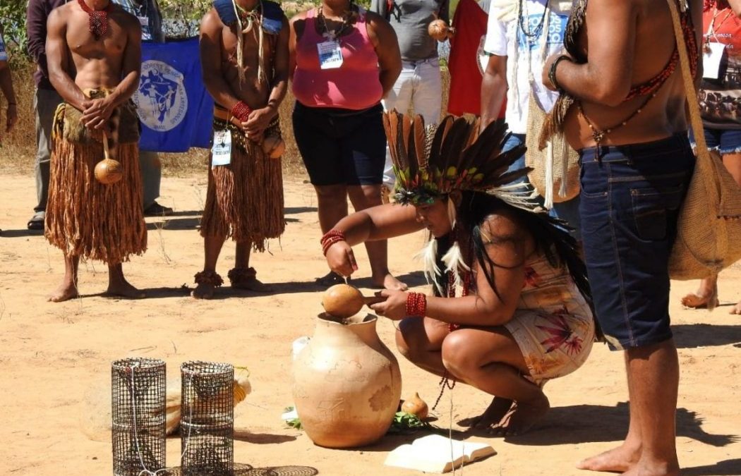 CIMI: União dos povos e mulheres para frear projetos privados nos territórios é levada ao Fórum Permanente de Assuntos Indígenas da ONU