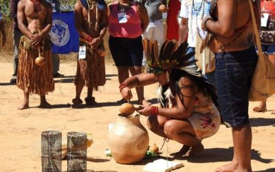 CIMI: União dos povos e mulheres para frear projetos privados nos territórios é levada ao Fórum Permanente de Assuntos Indígenas da ONU