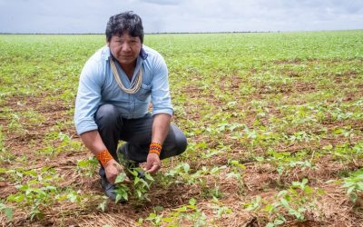 FUNAI: No Dia do Índio, Funai reafirma compromisso com a autonomia das comunidades indígenas