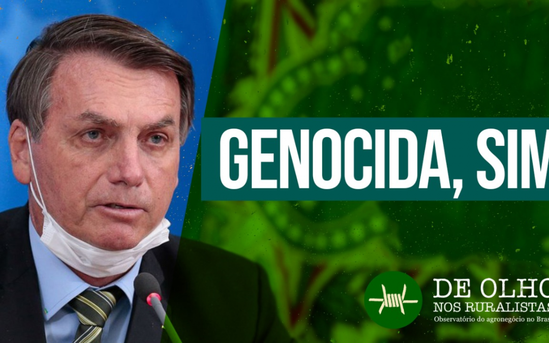 DE OLHO NOS RURALISTAS: De Olho nos Ruralistas faz série de vídeos sobre o genocídio no Brasil