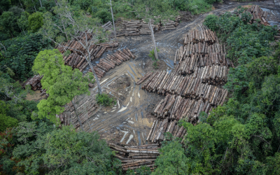 APIB: Acordo com Bolsonaro é endosso à tragédia, dizem ONGs a Biden