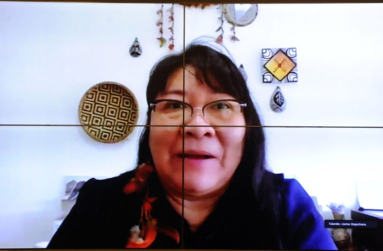 CÂMARA: Projeto regulamenta profissões de agentes indígenas de saúde e de saneamento