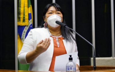 CÂMARA: Deputada propõe celebrar resistência dos povos indígenas