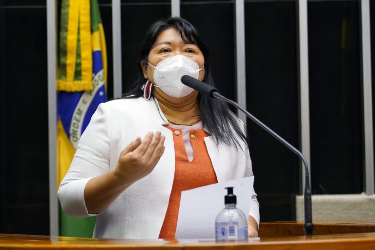CÂMARA: Deputada propõe celebrar resistência dos povos indígenas