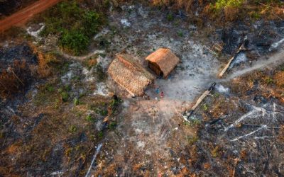 CÂMARA: Comissão debate situação socioambiental de terras indígenas; acompanhe