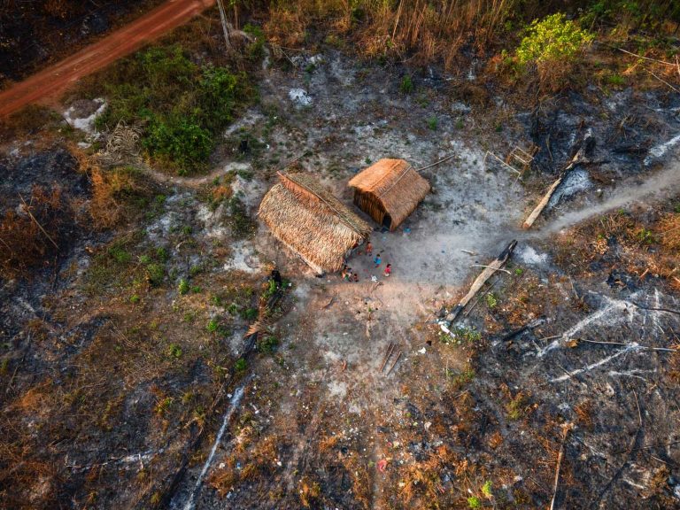 CÂMARA: Comissão debate situação socioambiental de terras indígenas; acompanhe