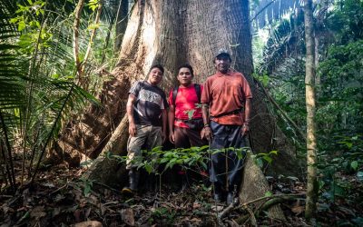 AMAZÔNIA NOTÍCIA E INFORMAÇÃO: “ABRACEM E RESPEITEM A NOSSA LUTA, ELA NÃO É SÓ PARA A GENTE, ESTAMOS PENSANDO NO FUTURO DE TODOS”, PEDE O INDÍGENA ERIC KARIPUNA