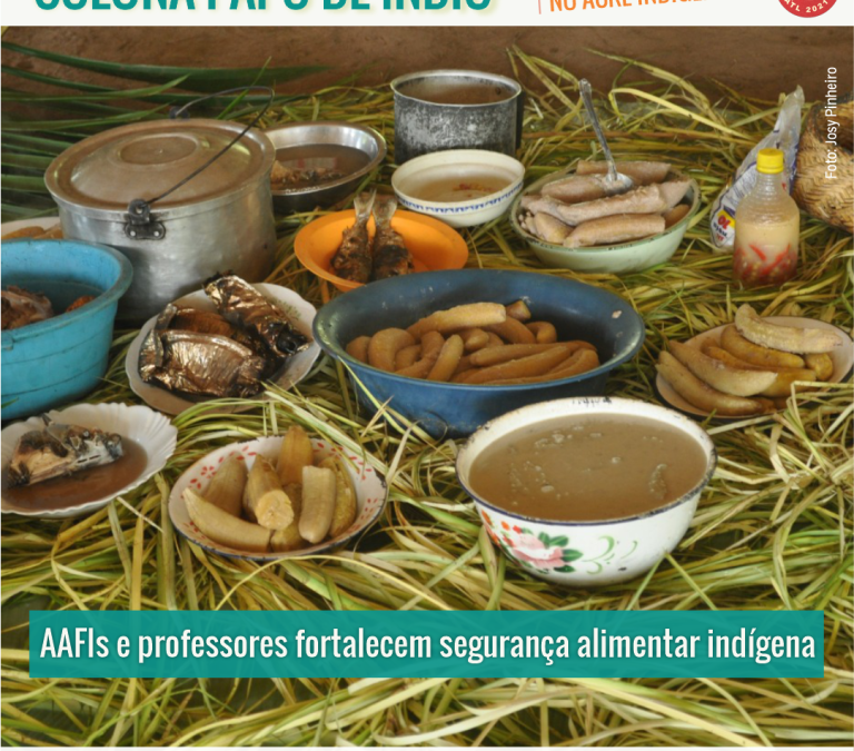 CPI- ACRE: PAPO DE ÍNDIO: AAFIs e professores fortalecem segurança alimentar indígena