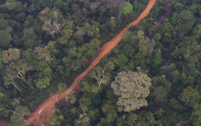 ISA: Deputados de Rondônia retiram proteção de mais de 200 mil hectares de florestas públicas