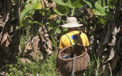 ISA: Corte no Censo 2021 ameaça políticas públicas para povos indígenas e tradicionais