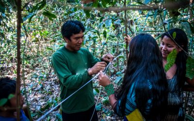 ISA: Conhecimento indígena e produção de florestas no Xingu é tema de artigo na revista Frontiers