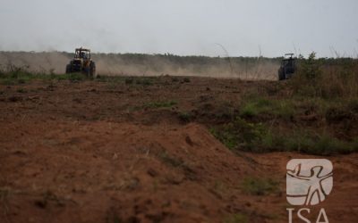 ISA: Estudo revela que o Cerrado perdeu em 2020 área quatro vezes maior que a Grande São Paulo