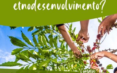 FUNAI: Etnodesenvolvimento: Veja como enviar dúvidas e pedidos de informações sobre projetos na área