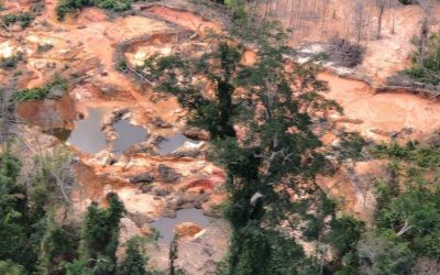 FOLHA DE SÃO PAULO: Bancada do PSOL pede ao MPF proteção urgente à comunidade yanomami atacada em Roraima