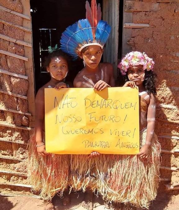 FOLHA DE S. PAULO: Indígenas lutam na Justiça para conseguir vacinas contra Covid-19 no sertão de PE