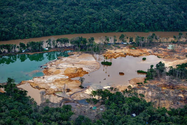FOLHA DE S. PAULO: Garimpo ilegal e devastação crescem na Terra Indígena Yanomami