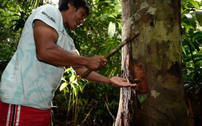 OPAN: POVOS PLANEJAM RETOMADA DE AÇÕES AFETADAS PELA COVID-19