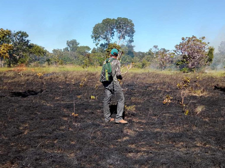 FUNAI: Funai apoia ações de prevenção a incêndios em Terras Indígenas do Tocantins e Mato Grosso