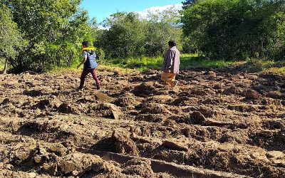 BRASIL DE FATO: Comunidade Mbyá-Guarani Pindó Poty denuncia destruição de plantio em seu território