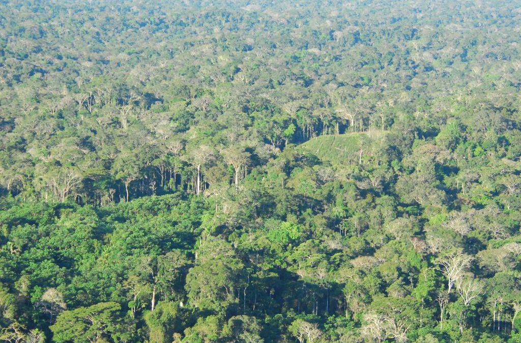 CPI- ACRE: Audiência Pública discute PL 225 sobre concessão de florestas públicas do Acre