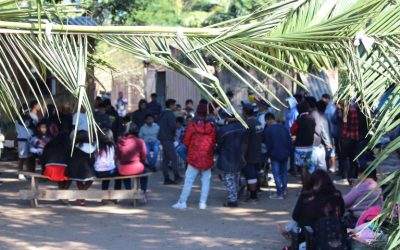 COMIN: Documento do encontro de lideranças Guarani Mbya do Rio Grande do Sul pede medidas de proteção territorial ao poder público